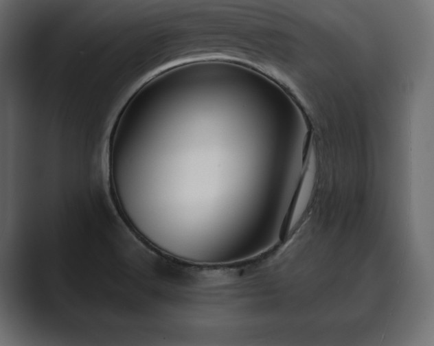 X0000089701516200706281445