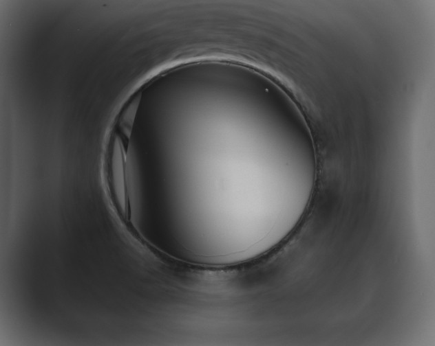 X0000089701518200706281445