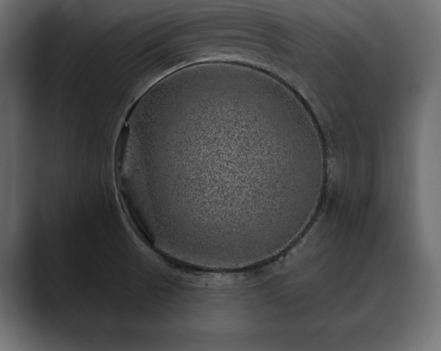 X0000089701521200706281445