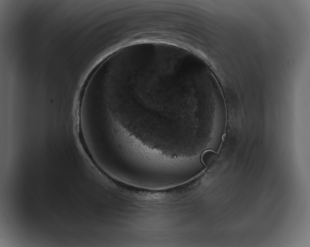 X0000089701522200706281445