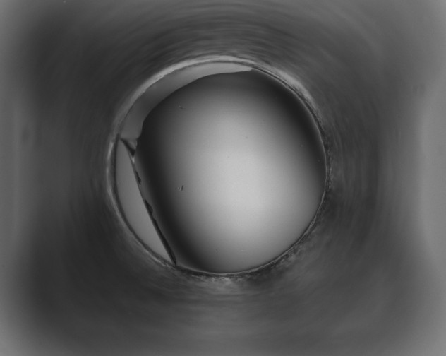 X0000089701524200706281445