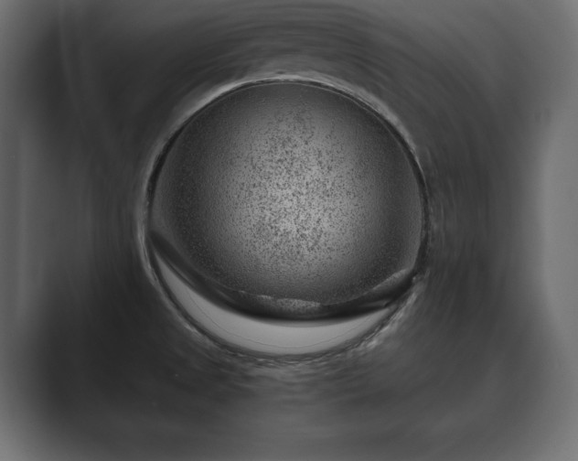 X0000089701525200706281445