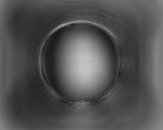 X0000089701526200706281445