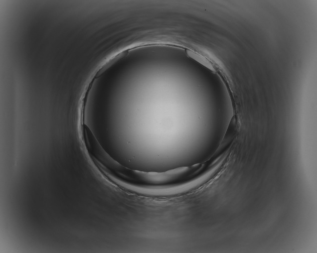 X0000089701528200706281445