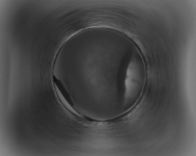 X0000089701529200706281445