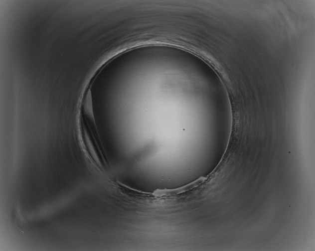 X0000089701530200706281445