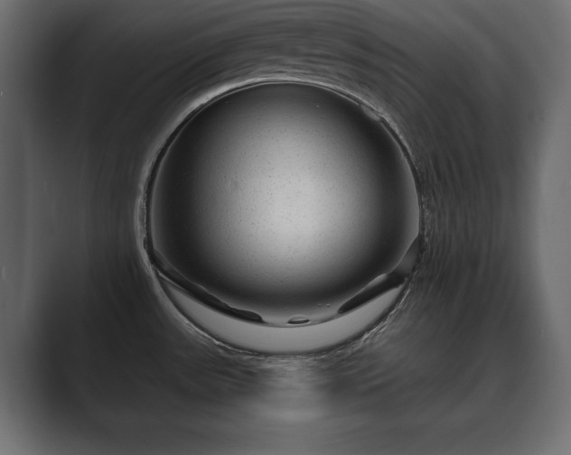 X0000089701531200706281445