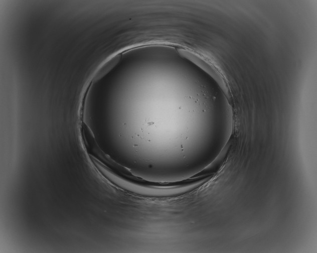 X0000089701532200706281445