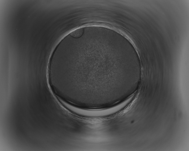 X0000089701533200706281445