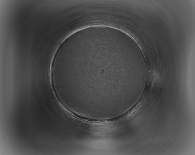 X0000089701535200706281445