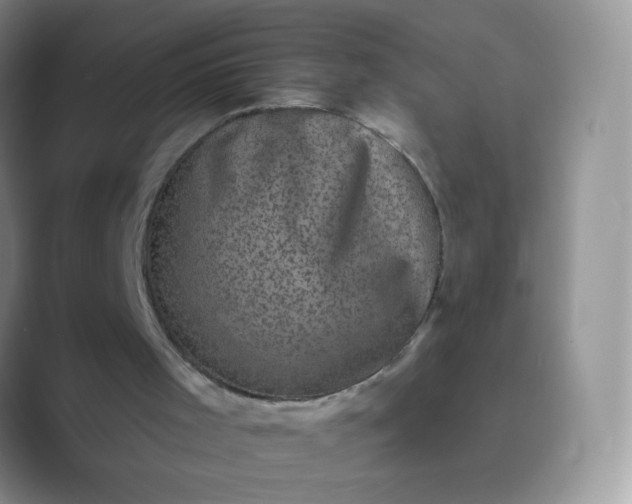 X0000089700001200707051652