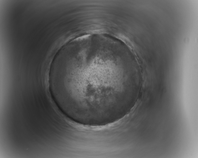 X0000089700002200707051652