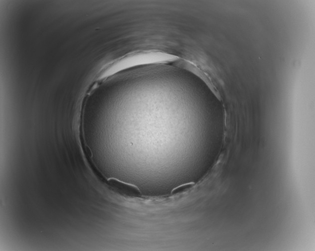 X0000089700003200707051652