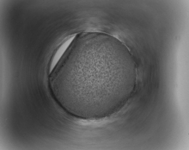 X0000089700005200707051652