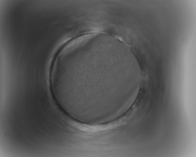 X0000089700006200707051652