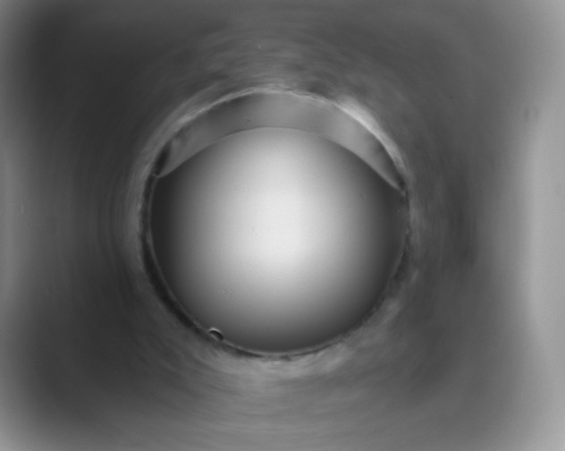 X0000089700007200707051652