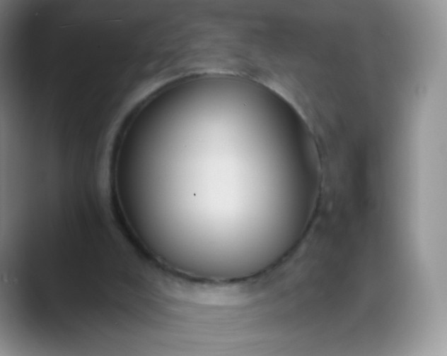 X0000089700008200707051652