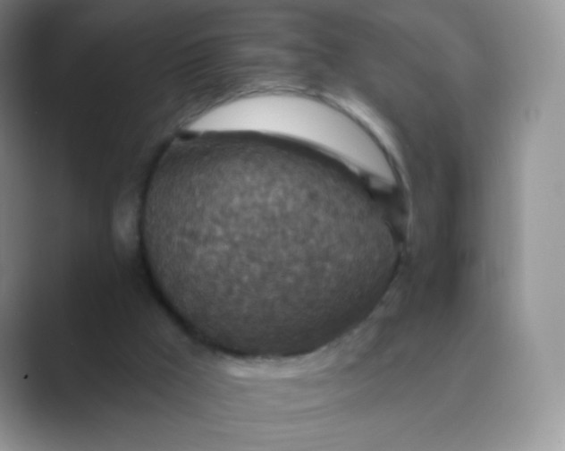 X0000089700009200707051652