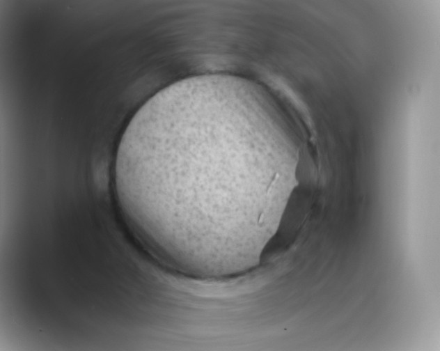 X0000089700010200707051652