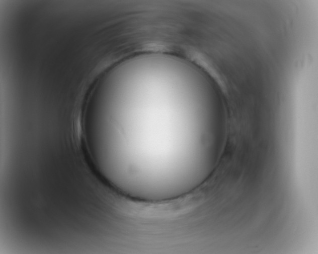 X0000089700011200707051652