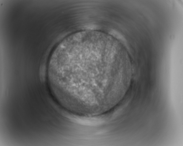 X0000089700012200707051652