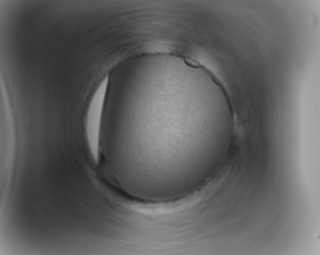 X0000089700013200707051652