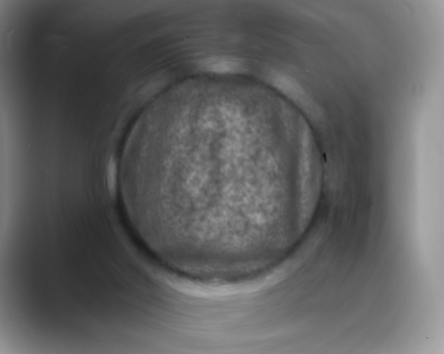 X0000089700014200707051652