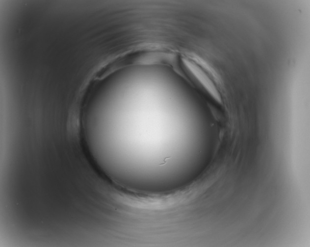 X0000089700015200707051652