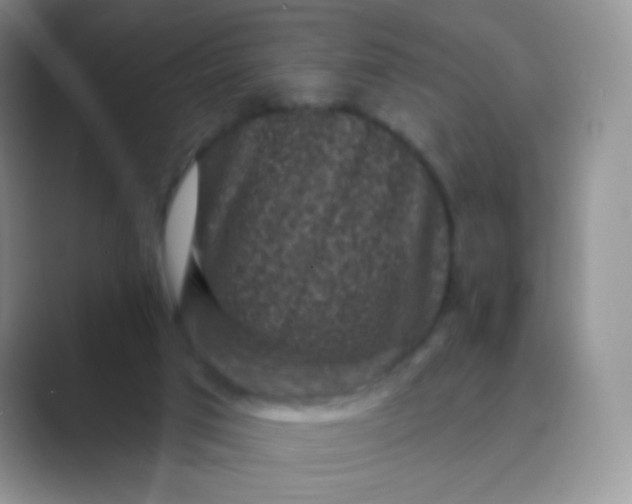 X0000089700017200707051652