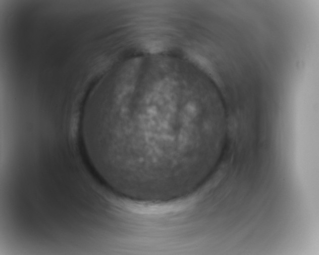 X0000089700018200707051652