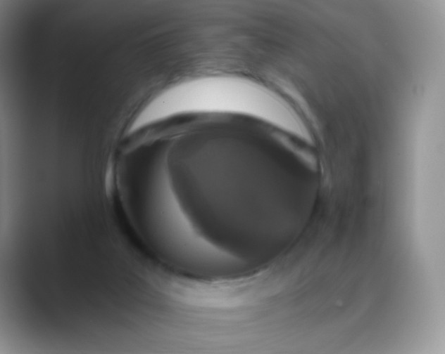 X0000089700019200707051652