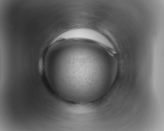 X0000089700020200707051652