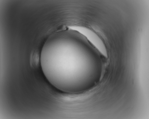 X0000089700021200707051652