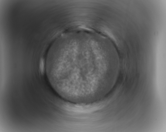 X0000089700022200707051652