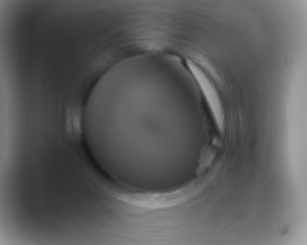 X0000089700023200707051651