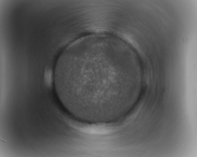 X0000089700024200707051651