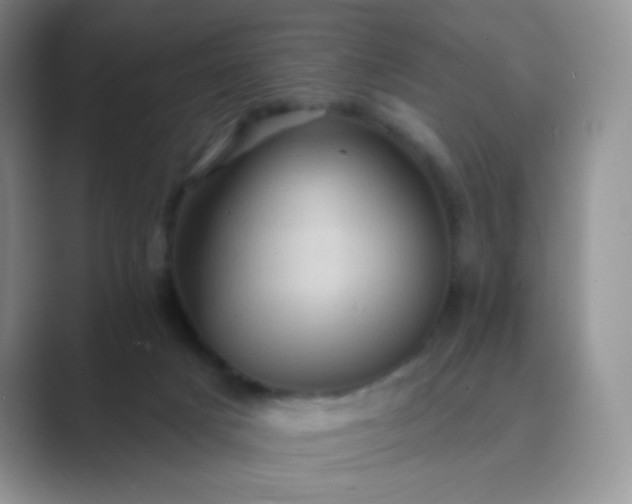 X0000089700025200707051651