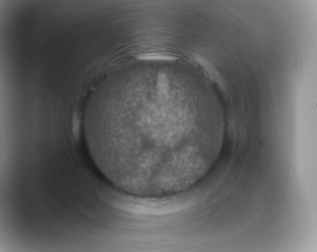 X0000089700026200707051651