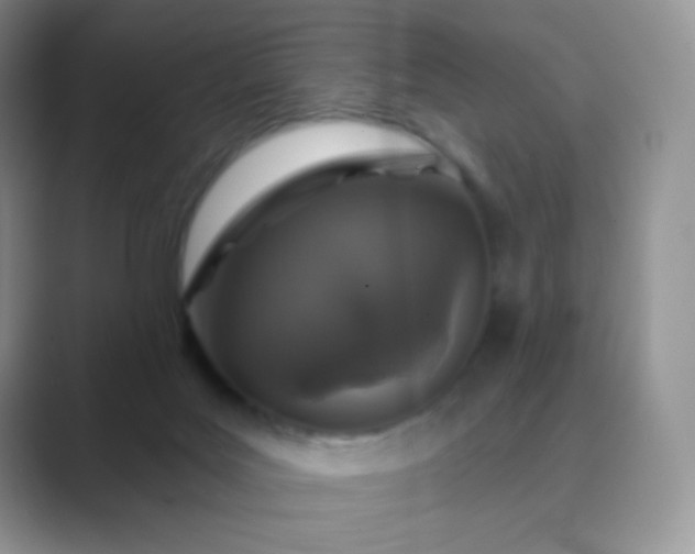 X0000089700027200707051651