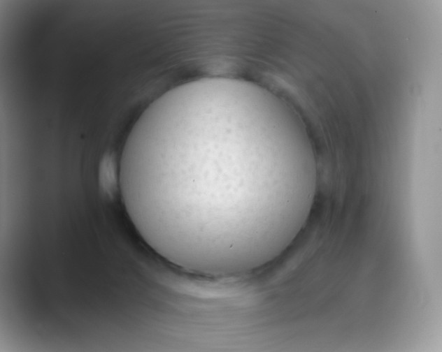 X0000089700028200707051651