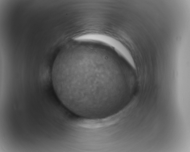 X0000089700029200707051651