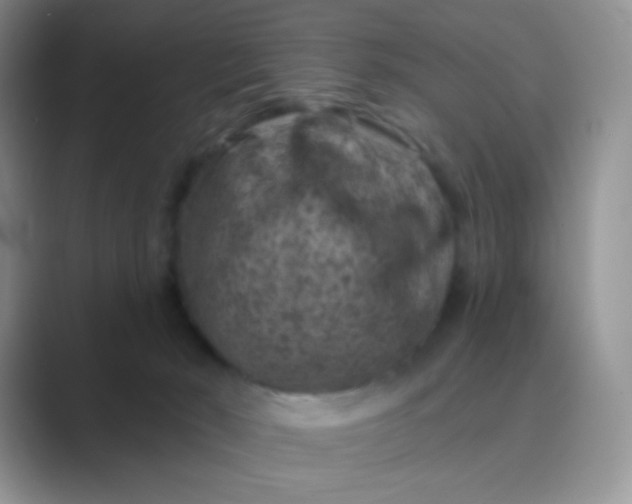 X0000089700030200707051651