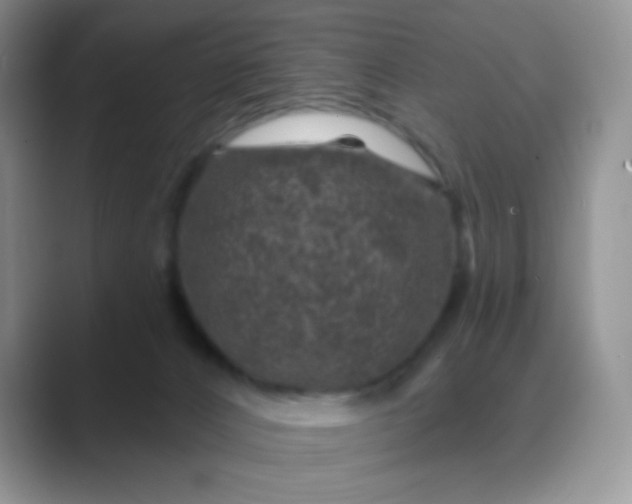 X0000089700032200707051651