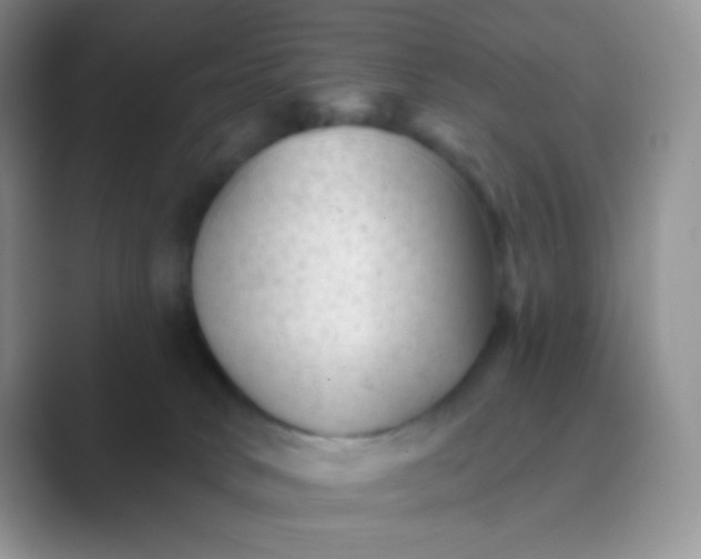 X0000089700034200707051651