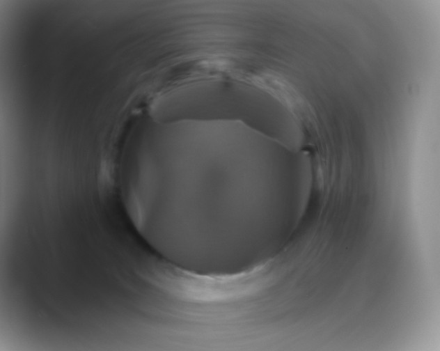 X0000089700035200707051651