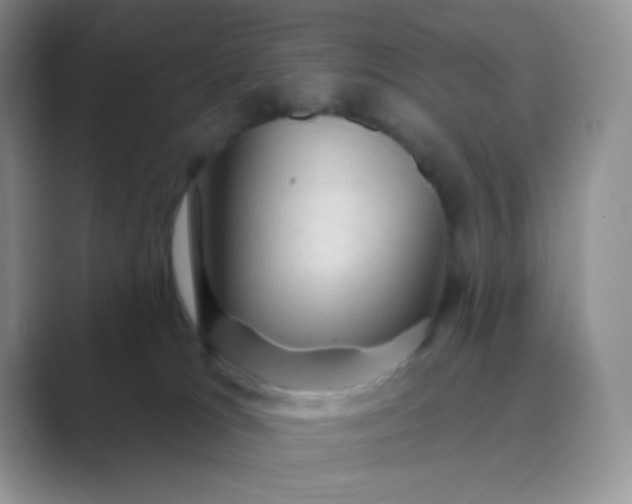 X0000089700037200707051651