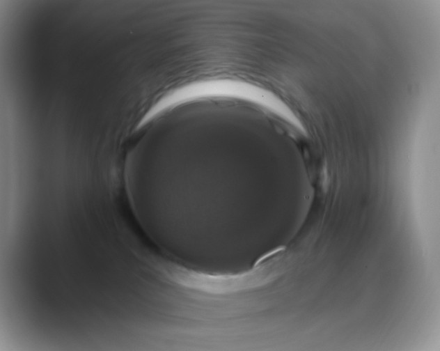 X0000089700039200707051651