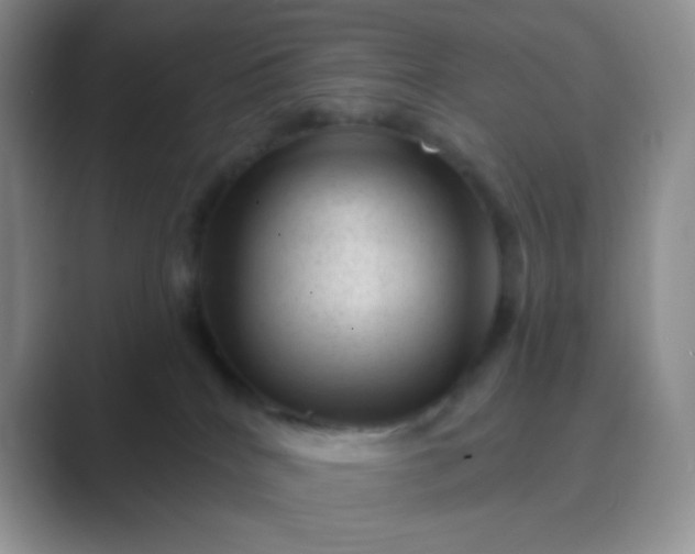 X0000089700040200707051651