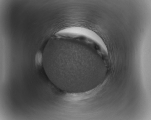 X0000089700041200707051651