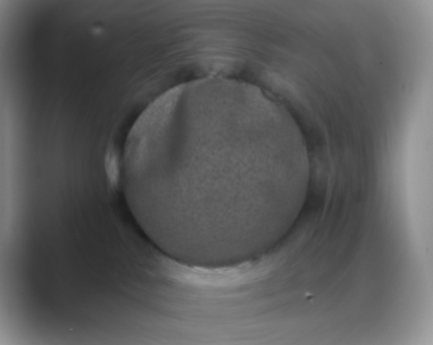 X0000089700042200707051651